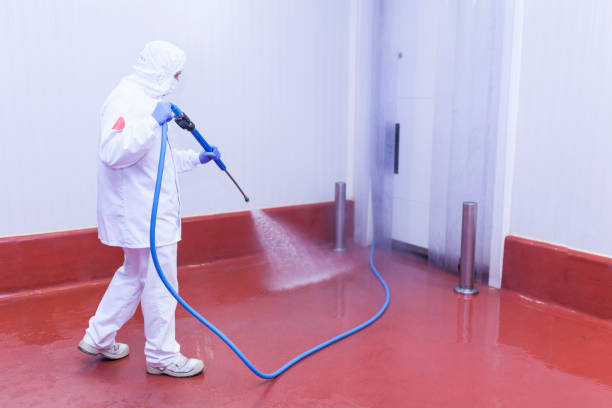 Best Sidewalk and Walkway Cleaning  in Dolgeville, NY