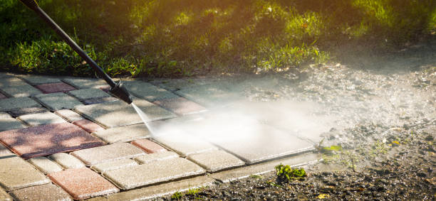 Best Roof Washing  in Dolgeville, NY