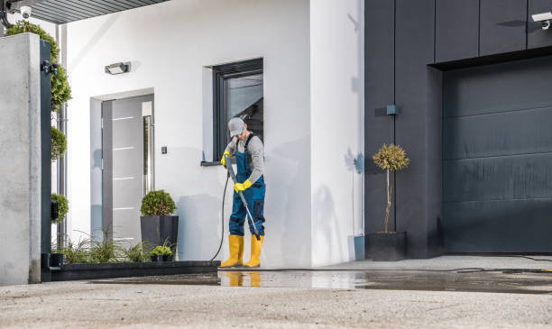 Best Soft Washing  in Dolgeville, NY